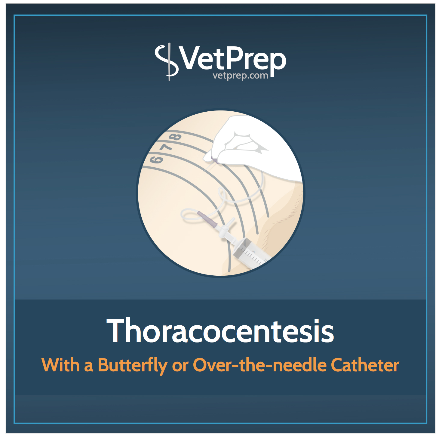 Free VetPrep Guide: Thoracocentesis