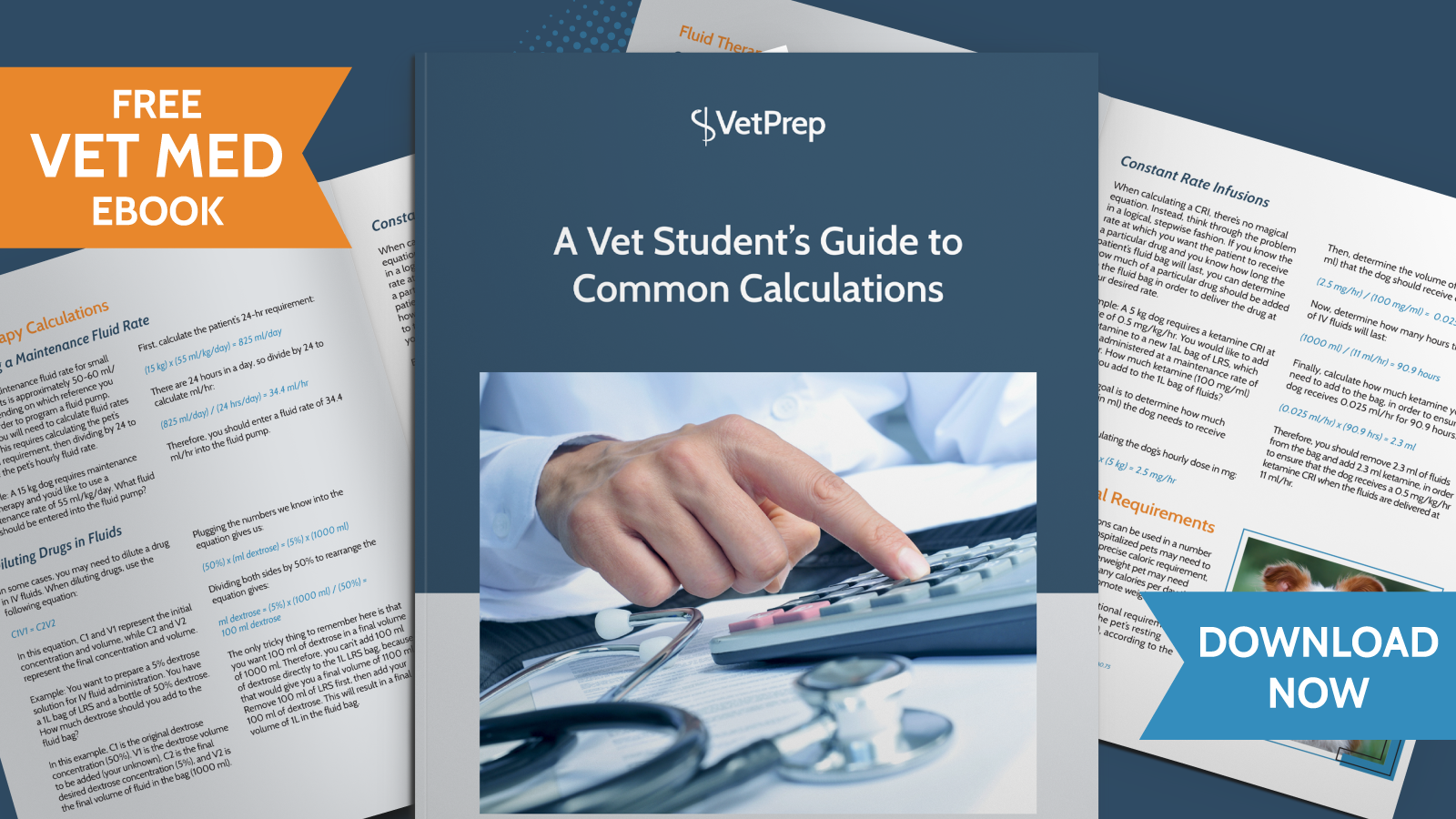 A Vet Student’s Guide to Common Calculations