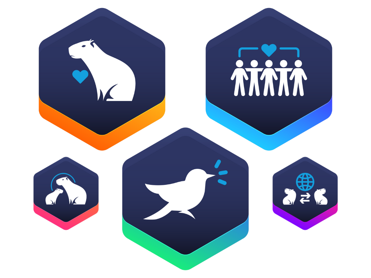 VET_Badges_Edcetera